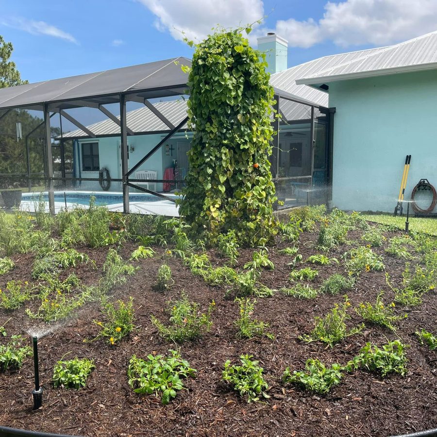 Native plant installation